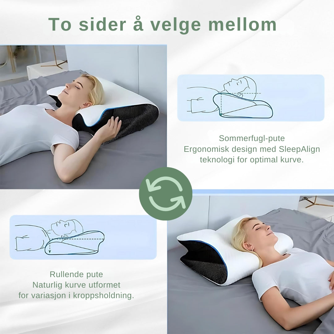 Oreiller orthopédique ergonomique SleepAlign pour un sommeil sans douleur | Rêve